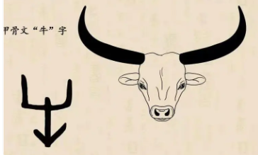 图片15.png