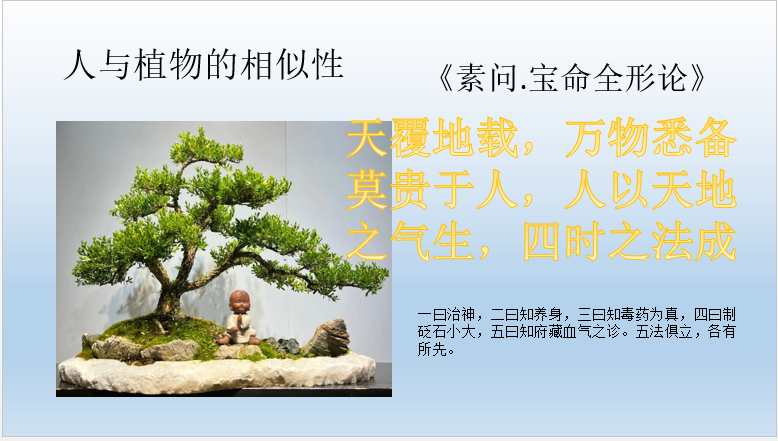 2ff3e08e2218751797a6e8208680902.png