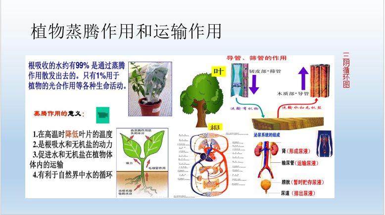 4f84a55377d168084e6c5318ce016a2.png
