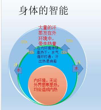 8922ff5f8566b6042f5b74c34dab2ad.png