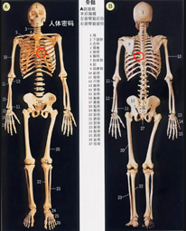 22c91b909ab532277f3a96f5b1bf479.png