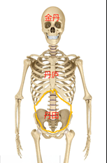 bba5c35a9441247e6d91ec33b9e79a8.png