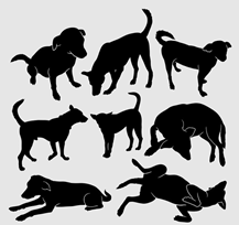 1bf8bf91cfc5a2cf3f5c687456a7e2e.png