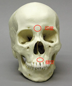 f92727bfaa1ea30a44bff3d63faffbb.png