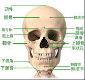5fe36290bfaae1c8f385584c7a23930.png