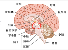 614e05e596e08a619ed537634d5f1af.png
