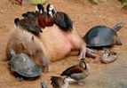 76ee0e1fc14d2f8a1a3e0b365442250.png