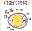 db75e084015c58fbde0f2671961a8ec.png