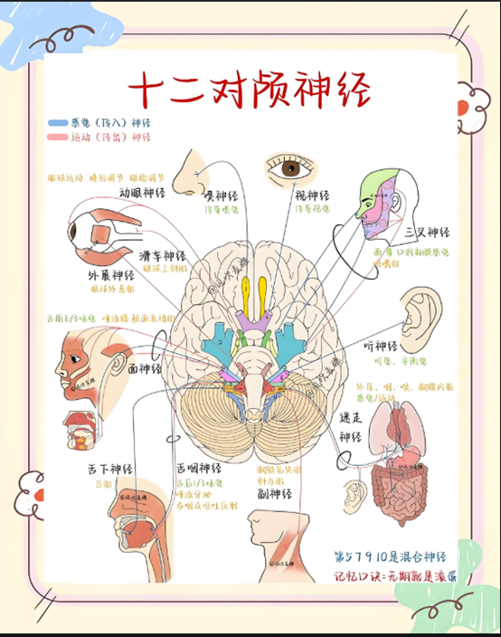 e5341ddc44613bcb01b6dbbeba7ca91.png