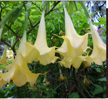 1755997619112150.png e24c233c79b6a714afca142e3543eb5c.png