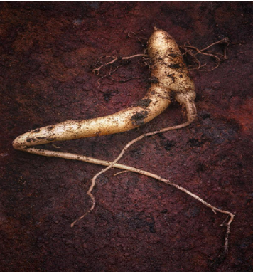 1755997623915375.png 186042fe6e1190b162a15d6775ea04f2.png