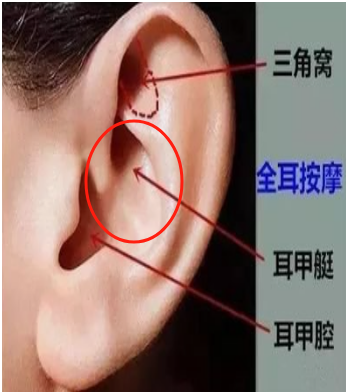 1756257331146129.png 03359eba3915179bc47c93f86da1b53b.png