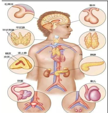 1758331191538884.png 7ba3285013c318d3695e3d53e9521886.png