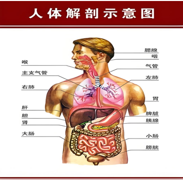 1758331198151571.png ac61eea981cad1712d316e18c61b06ac.png