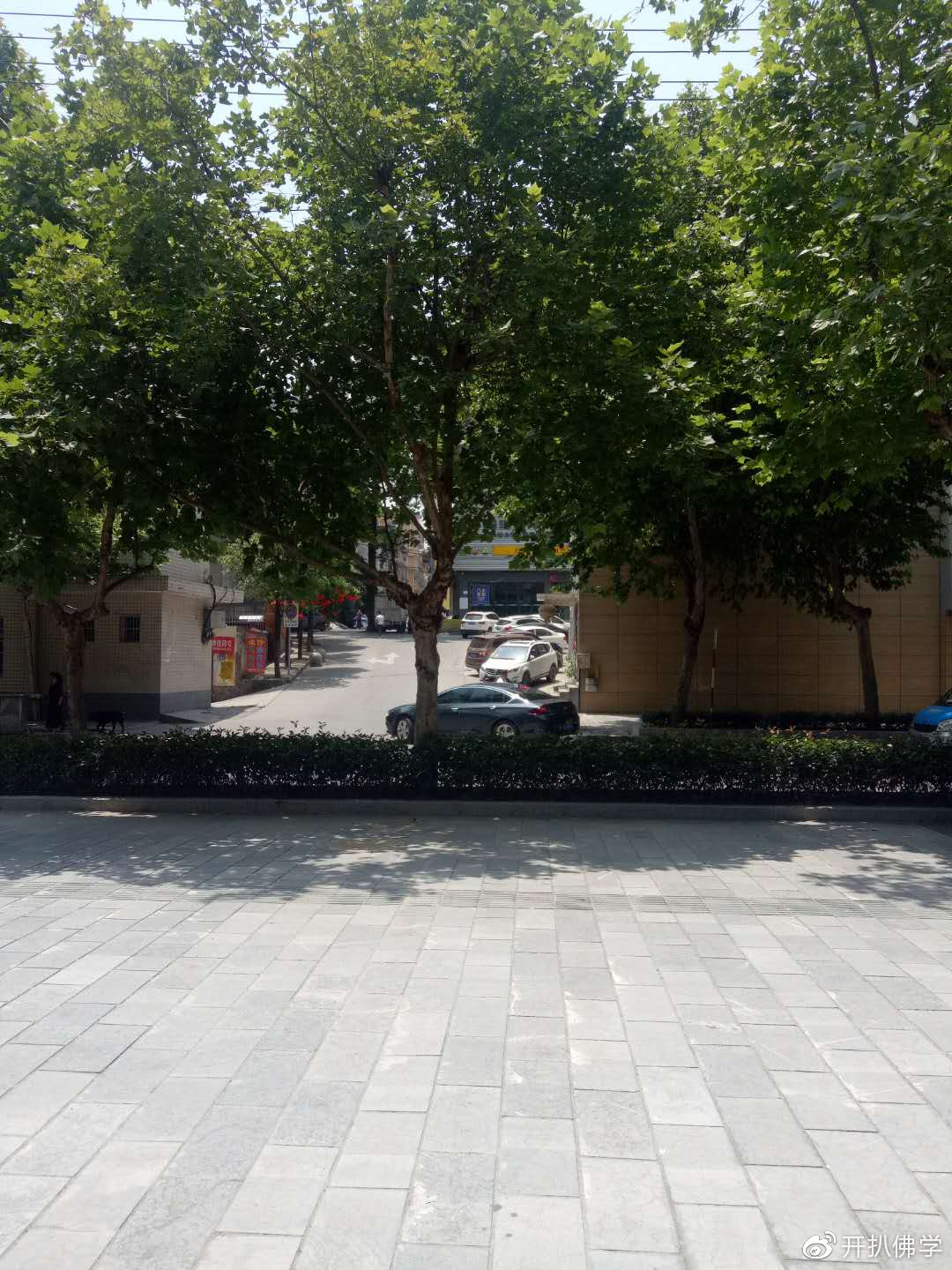 暴面路冲与悬针树带角煞